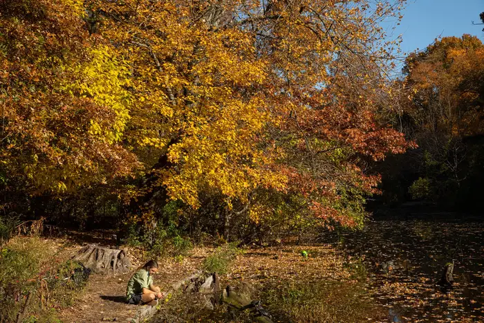 A photo of a person sitting in Prospect Park